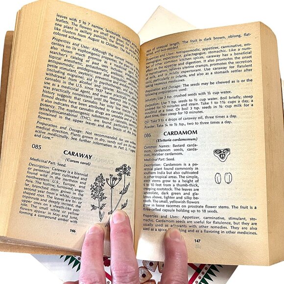 Christmas Cookies Softcover & The Herb Book Vintage Paperback 2-Book Bundle - Picture 8 of 11